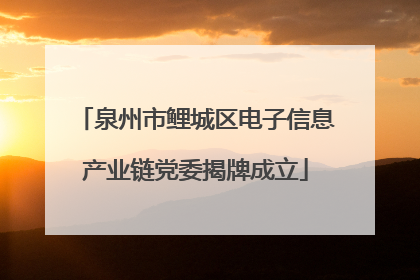 泉州市鲤城区电子信息产业链党委揭牌成立