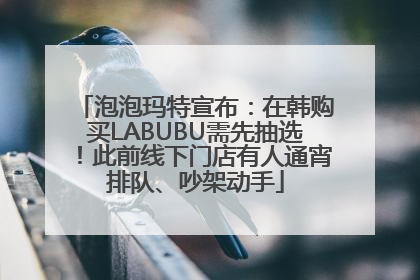 泡泡玛特宣布：在韩购买LABUBU需先抽选！此前线下门店有人通宵排队、吵架动手