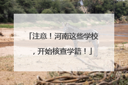 注意！河南这些学校，开始核查学籍！