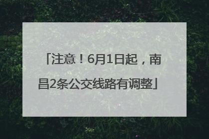 注意！6月1日起，南昌2条公交线路有调整
