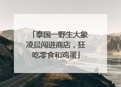 泰国一野生大象凌晨闯进商店，狂吃零食和鸡蛋