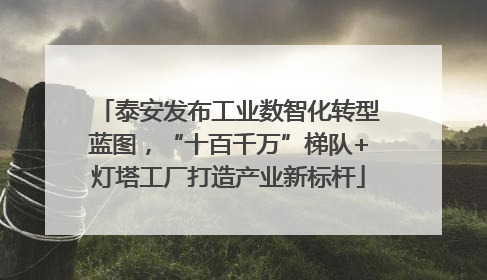 泰安发布工业数智化转型蓝图，“十百千万”梯队+灯塔工厂打造产业新标杆