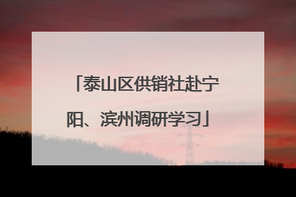 泰山区供销社赴宁阳、滨州调研学习