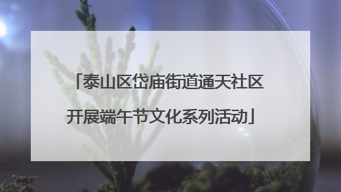 泰山区岱庙街道通天社区开展端午节文化系列活动