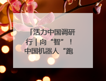 活力中国调研行｜向“智”！中国机器人“跑”起来
