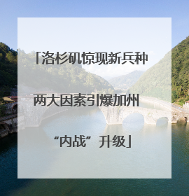 洛杉矶惊现新兵种 两大因素引爆加州“内战”升级