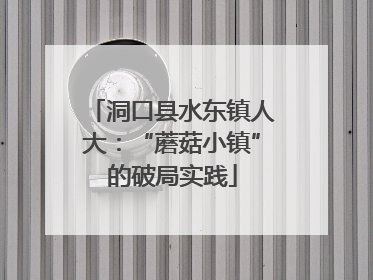 洞口县水东镇人大：“蘑菇小镇”的破局实践
