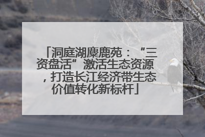 洞庭湖麋鹿苑：“三资盘活”激活生态资源，打造长江经济带生态价值转化新标杆