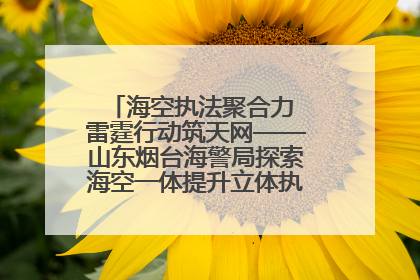 海空执法聚合力 雷霆行动筑天网——山东烟台海警局探索海空一体提升立体执法效能纪实