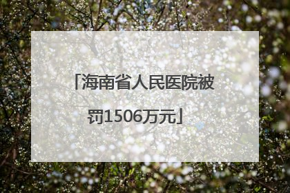 海南省人民医院被罚1506万元