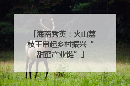 海南秀英：火山荔枝王串起乡村振兴“甜蜜产业链”