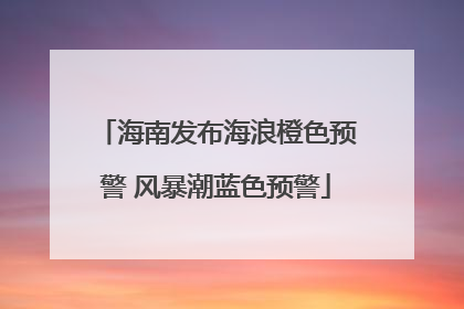 海南发布海浪橙色预警 风暴潮蓝色预警