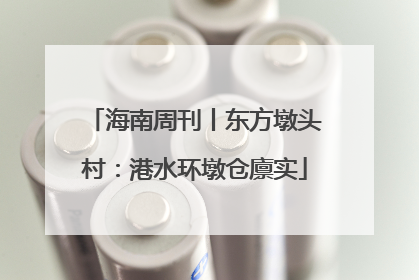 海南周刊丨东方墩头村：港水环墩仓廪实