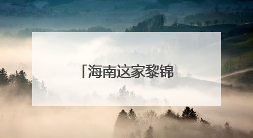 海南这家黎锦小店，有个“洋老板” →