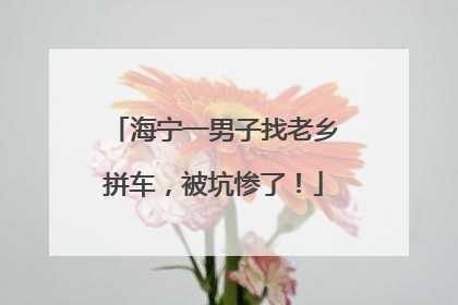 海宁一男子找老乡拼车，被坑惨了！