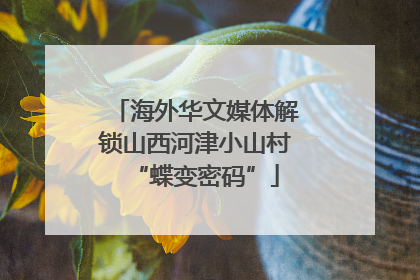 海外华文媒体解锁山西河津小山村“蝶变密码”