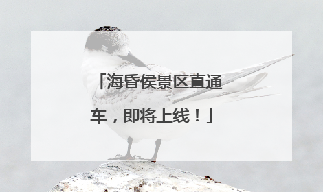 海昏侯景区直通车，即将上线！