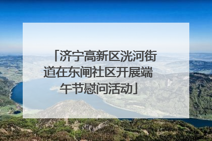 济宁高新区洸河街道在东闸社区开展端午节慰问活动