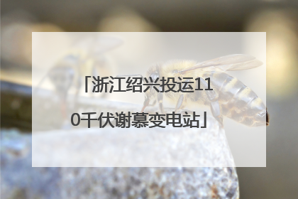 浙江绍兴投运110千伏谢慕变电站