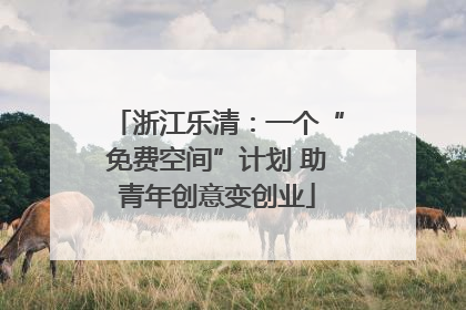 浙江乐清：一个“免费空间”计划 助青年创意变创业