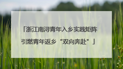 浙江南浔青年入乡实践矩阵 引燃青年返乡“双向奔赴”