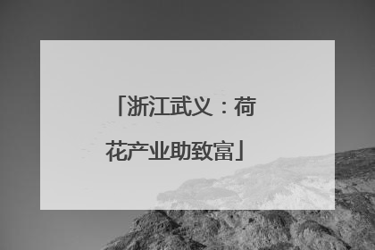 浙江武义：荷花产业助致富