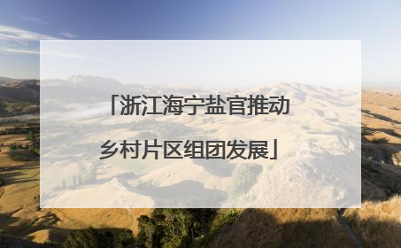 浙江海宁盐官推动乡村片区组团发展