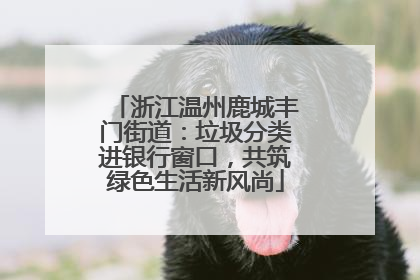 浙江温州鹿城丰门街道：垃圾分类进银行窗口，共筑绿色生活新风尚
