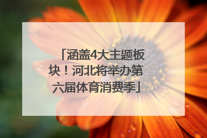 涵盖4大主题板块！河北将举办第六届体育消费季