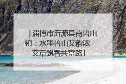 淄博市沂源县南鲁山镇：水墨鲁山艾韵浓 艾草飘香共富路
