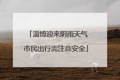 淄博迎来阴雨天气 市民出行需注意安全