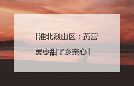 淮北烈山区：黄营灵枣甜了乡亲心