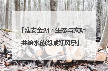 淮安金湖：生态与文明共绘水韵湖城好风景