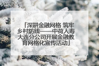 深耕金融网格 筑牢乡村防线——中荷人寿大连分公司开展金融教育网格化宣传活动