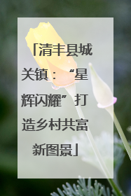 清丰县城关镇：“星辉闪耀”打造乡村共富新图景