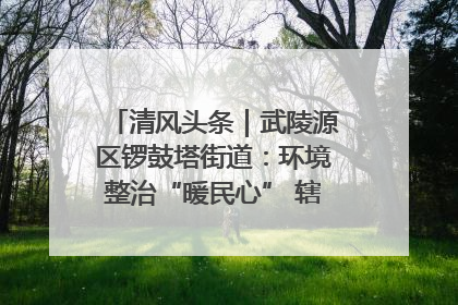 清风头条｜武陵源区锣鼓塔街道：环境整治“暖民心” 辖区面貌“靓”起来