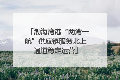 渤海湾港“两湾一航”供应链服务北上通道稳定运营
