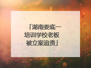 湖南娄底一培训学校老板被立案追责