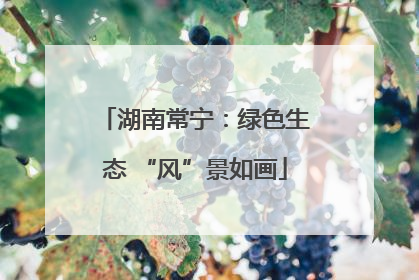 湖南常宁：绿色生态 “风”景如画