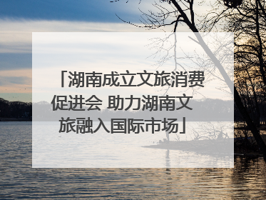 湖南成立文旅消费促进会 助力湖南文旅融入国际市场