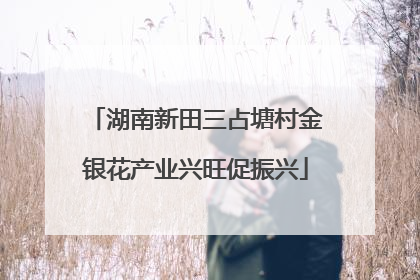 湖南新田三占塘村金银花产业兴旺促振兴