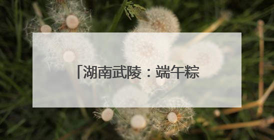 湖南武陵：端午粽飘香 亲情暖高墙