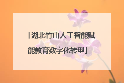 湖北竹山人工智能赋能教育数字化转型