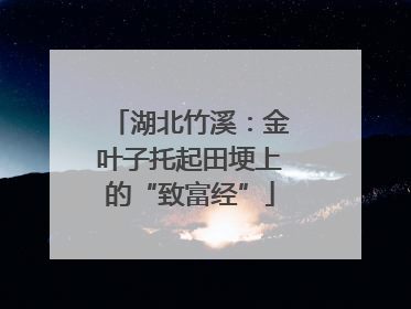 湖北竹溪：金叶子托起田埂上的“致富经”