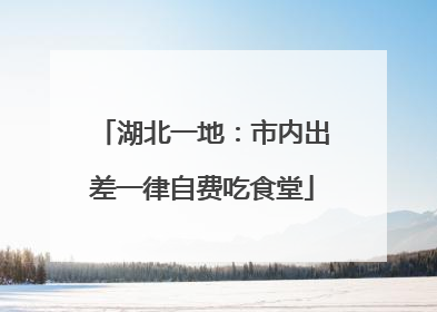 湖北一地：市内出差一律自费吃食堂