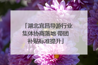 湖北宜昌导游行业集体协商落地 带团补贴标准提升