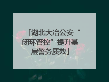 湖北大冶公安“闭环管控”提升基层警务质效