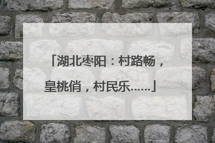 湖北枣阳：村路畅，皇桃俏，村民乐……