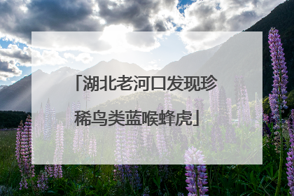 湖北老河口发现珍稀鸟类蓝喉蜂虎
