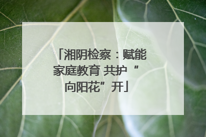 湘阴检察：赋能家庭教育 共护“向阳花”开